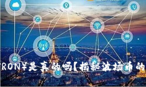 波场币（TRON）是真的吗？揭秘波场币的背后真相